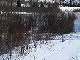 Yukon Quest Video Copyright by Peter Kamper