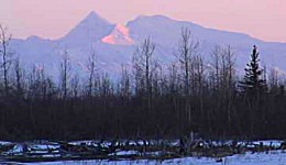 Yukon Quest - Copyright Yukon Quest International