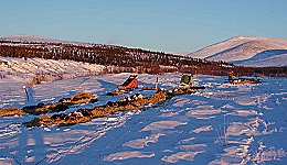 Yukon Quest - Copyright Yukon Quest International