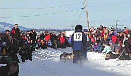 Yukon Quest - Copyright Yukon Quest International