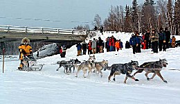 Yukon Quest - Copyright Yukon Quest International