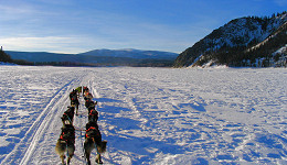 copyright by Gerry Willomitzer