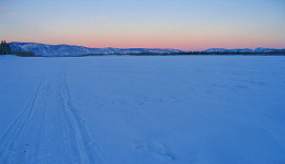 copyright by Gerry Willomitzer