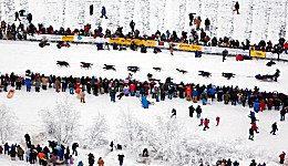 Yukon Quest Start (c) Yukon Quest