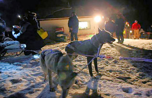 Mile101 (c) C.Thies / Yukon Quest