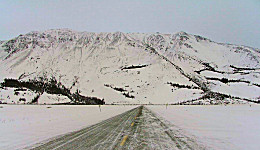 Yukon Quest