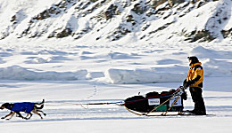 Zack Steer Dawson City (c) Yukon Quest
