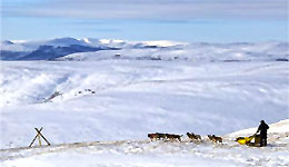 Eagle Summit (c) Yukon Quest Eagle Summit (c) Yukon Quest